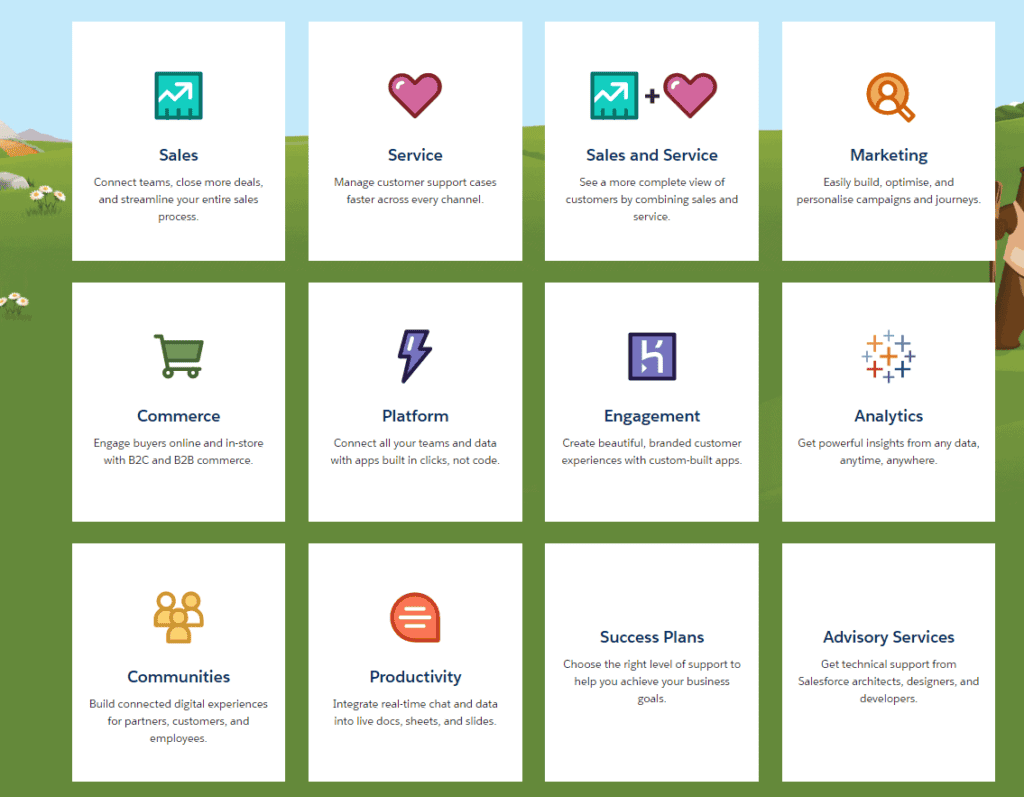 Most Salesforce applications run on the cloud based Customer 360 platform