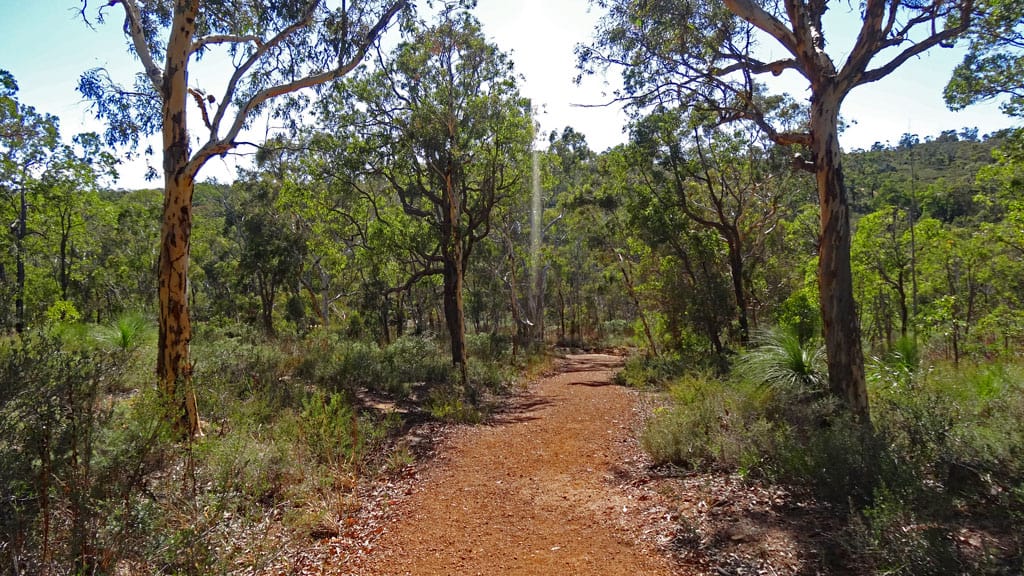 Wanderweg im John Forrest Nationalpark