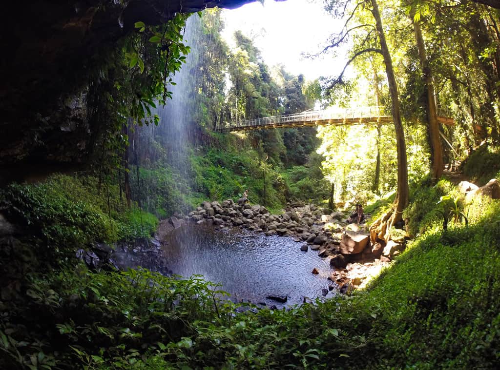 Crystal Shower Falls im Dorrigo Nationalpark