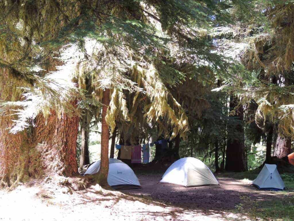 Sol Duc Campground Several tents set up under a canopy of trees in Sol Duc Campground, Olympic National Park.