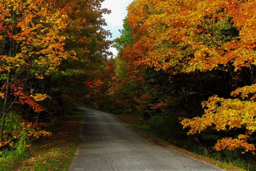 Fall foliage Woodford State Park