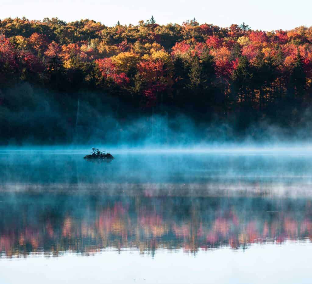 Bennington VT A fall scene at Woodford State Park in Vermont. Fog lifts off the pond and is surrounded by colorful trees.