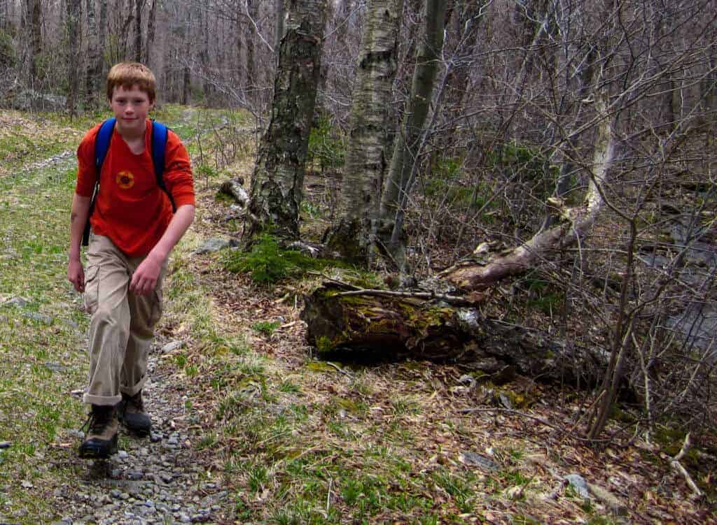 kids daypack A boy hikes through the woods with a blue daypack.