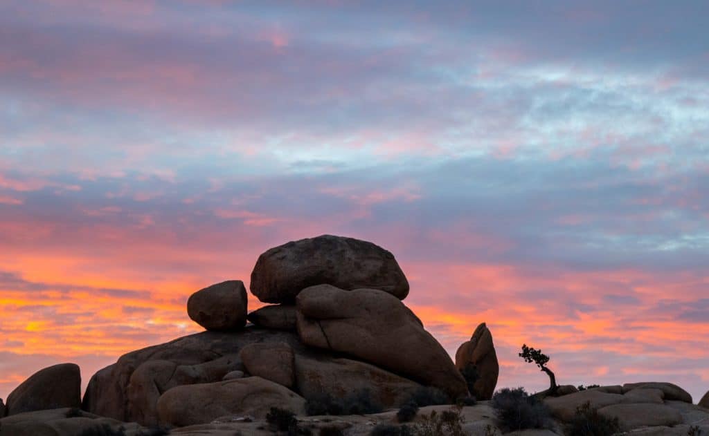 Joshua Tree with Kids Sunrise at Jumbo Rocks Campground in Joshua Tree National Park