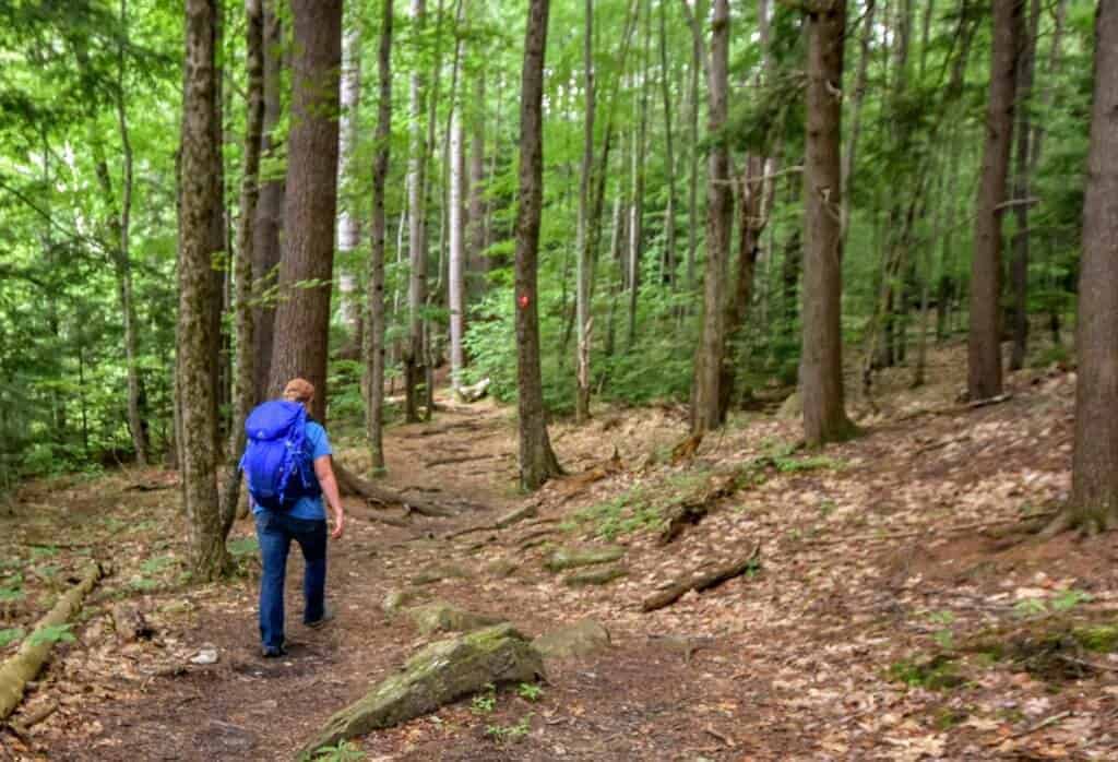 A woman backpacks along a forest trail in New Hampshire.