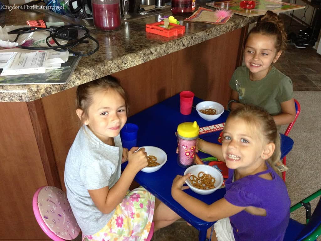 Preschool Fun Homeschool Wrap-up