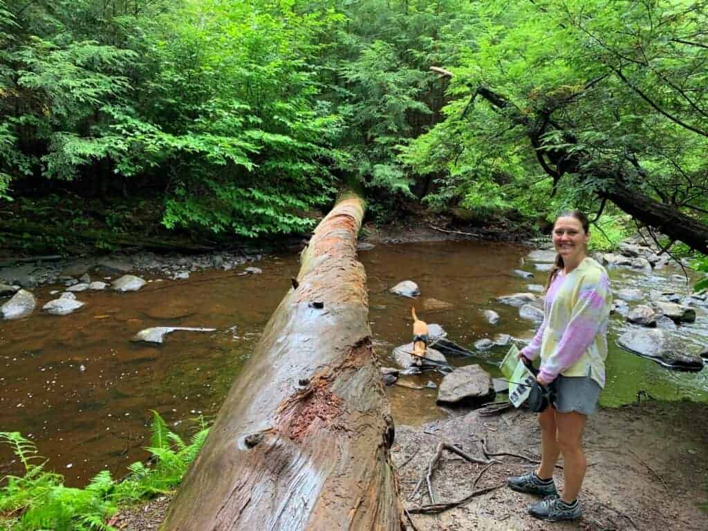 ricketts glen state park dog dip