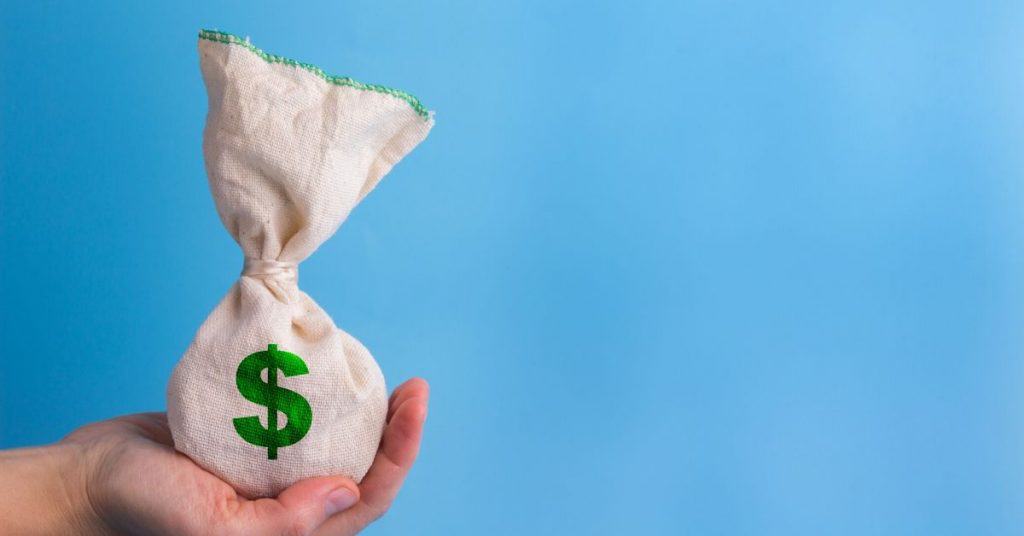 Hand holding a bag of money
