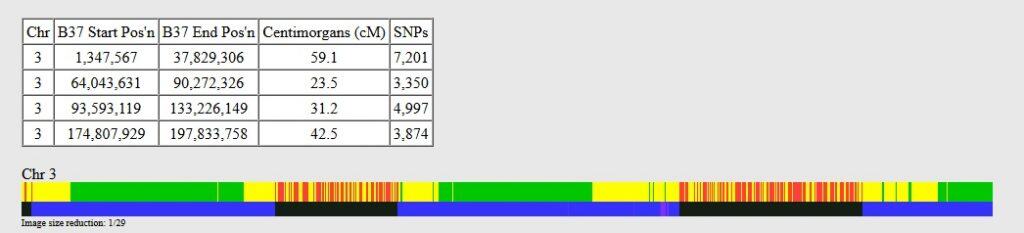 An example of One to One results between two full siblings. They share a few long fully-identical regions, as well as some half-identical ones