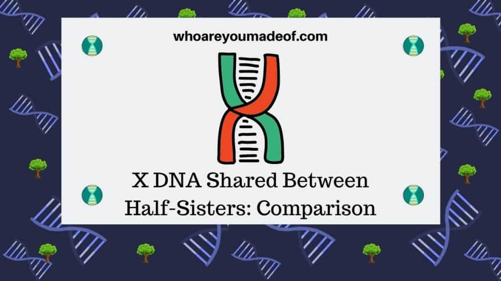 X DNA Shared Between Half-Sisters Comparison