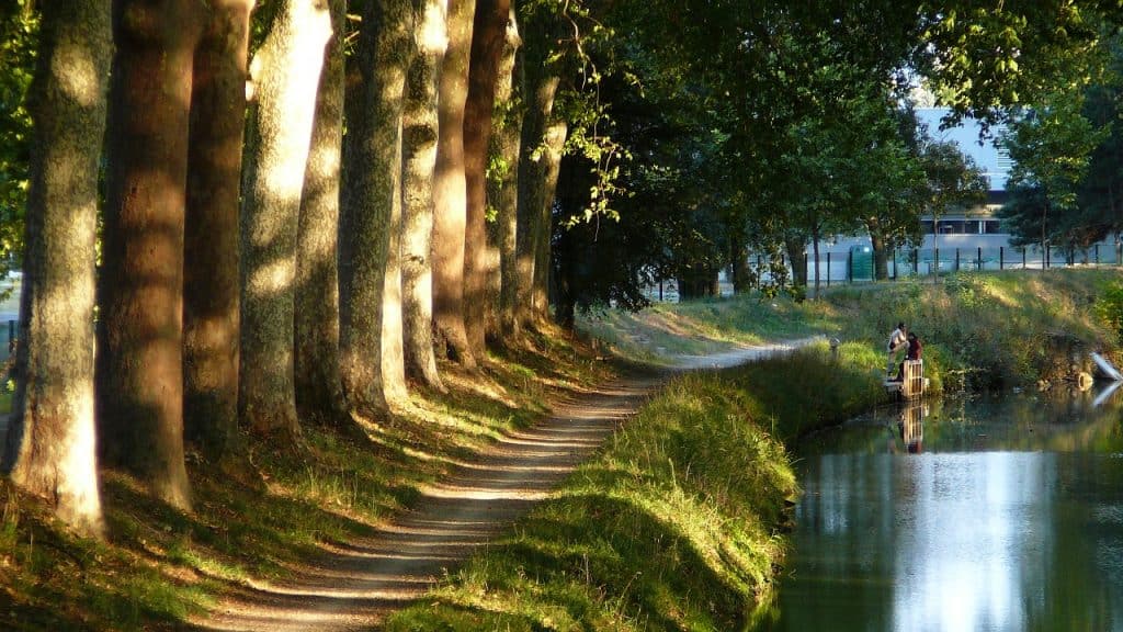 Der Kanal lädt ein zu Spaziergängen Der Kanal lädt ein zu Spaziergängen