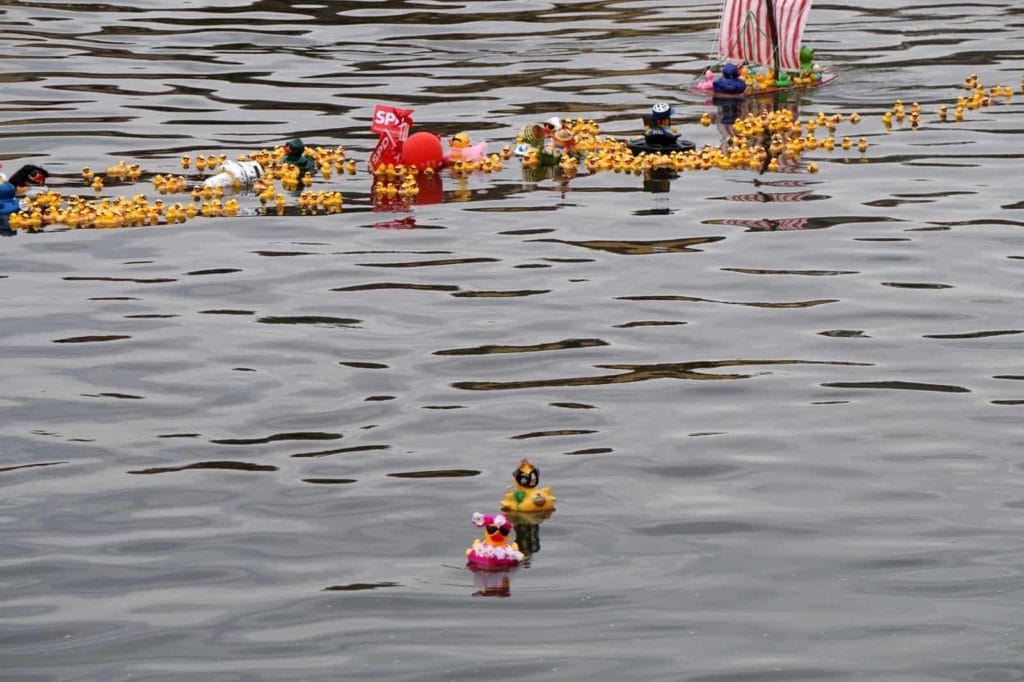 Die Havanna Duck seilt sich gleich mit einer Freundin ab