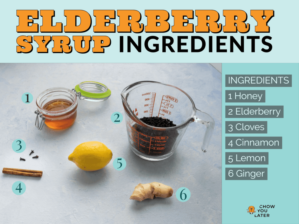 A list of elderberry syrup ingredients
