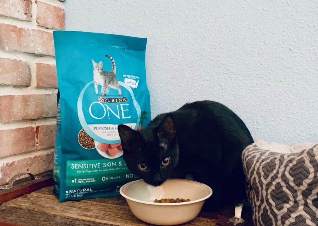 My Cat Takes The Purina One 28 Day Challenge Crafty Little Gnome