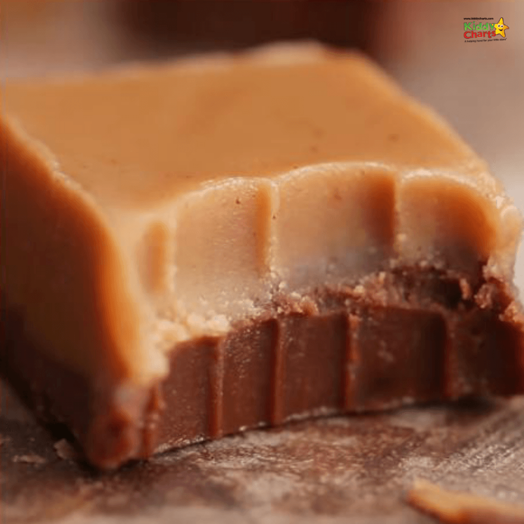 vegan chocolate and peanut butter fudge