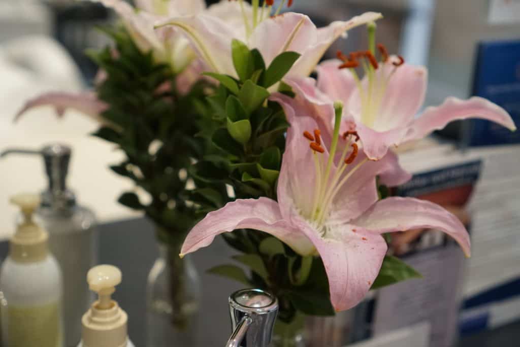 Relax-and-Refresh-Beauty-Salon-Paddington