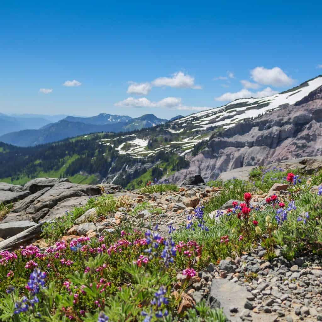 Skyline Trail Mount Rainier's Best Day Hike The National Parks Experience