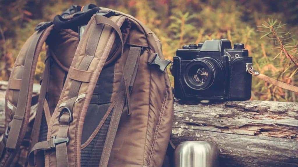 Best car interior accessories (for the perfect road trip) Wandering Bird