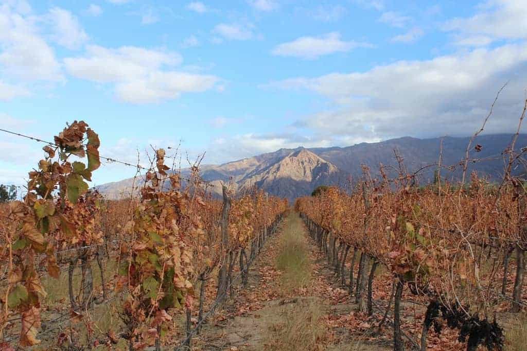 From Salta to the Mendoza region, discover 5 Top Wineries in Argentina to visit that offer a unique range of wine tastings, tours, views and memorable experiences. Mendoza is by far the most famous for wine tasting Argentine style. But lesser known regions such as Salta and Patagonia are just as beautiful to visit and offer the same quality level of wine. In this article, we are going to focus on five wineries in the more northern provinces of Salta and Mendoza that should be on your Argentina wine tasting itinerary.