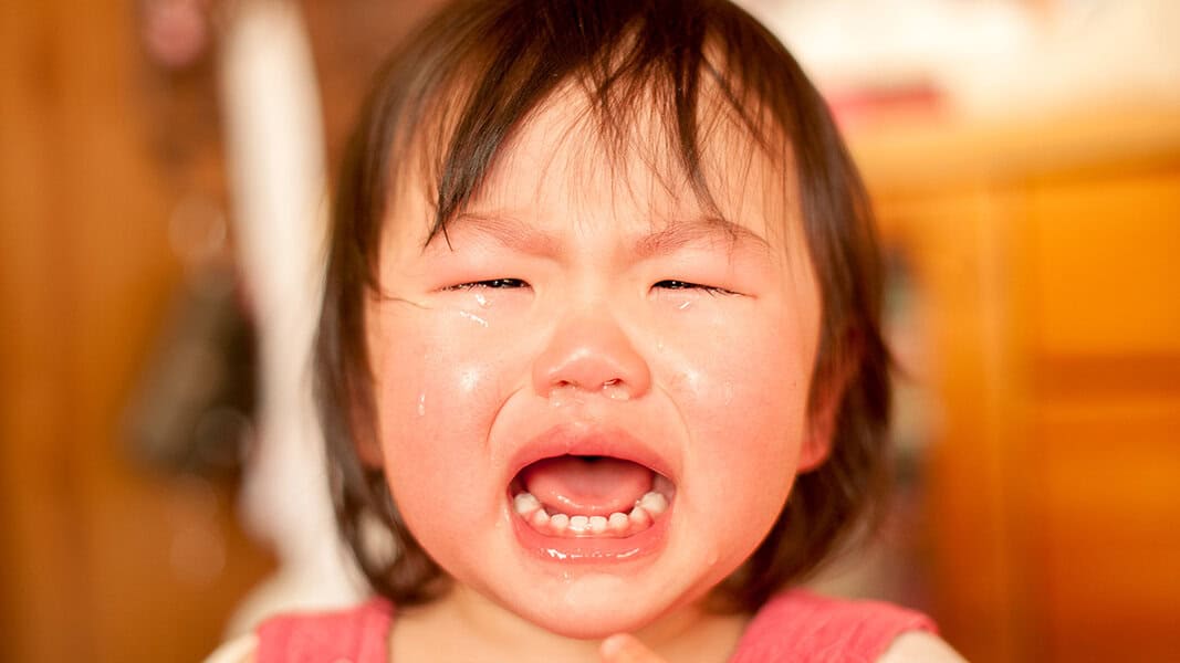 子供の癇癪は親のせいは間違い 原因と正しい対処方法を解説 Mother S Select 子供の癇癪は親のせいは間違い 原因と正しい対処方法を解説 Mother S Select