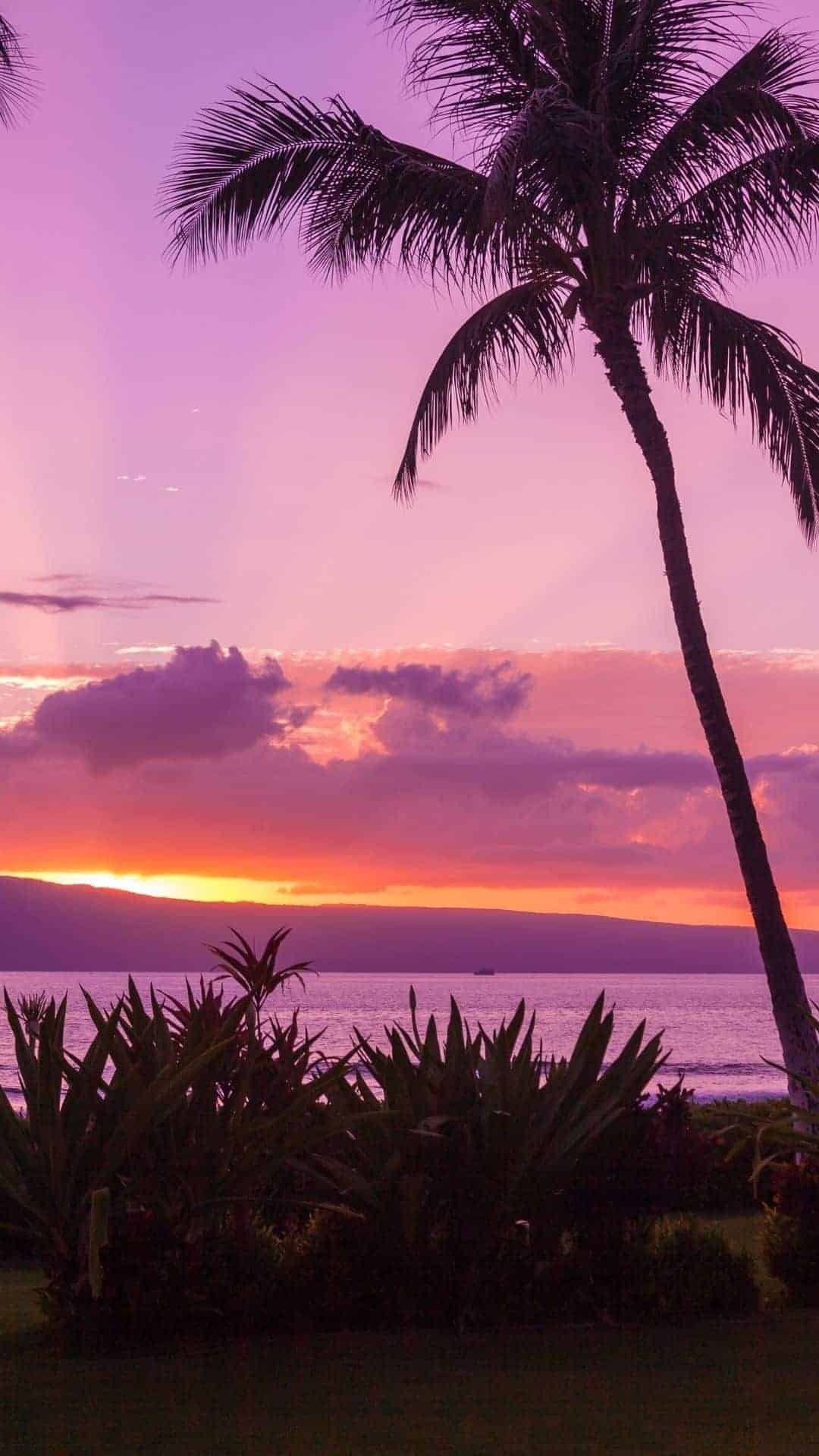 Sunset iphone Wallpaper