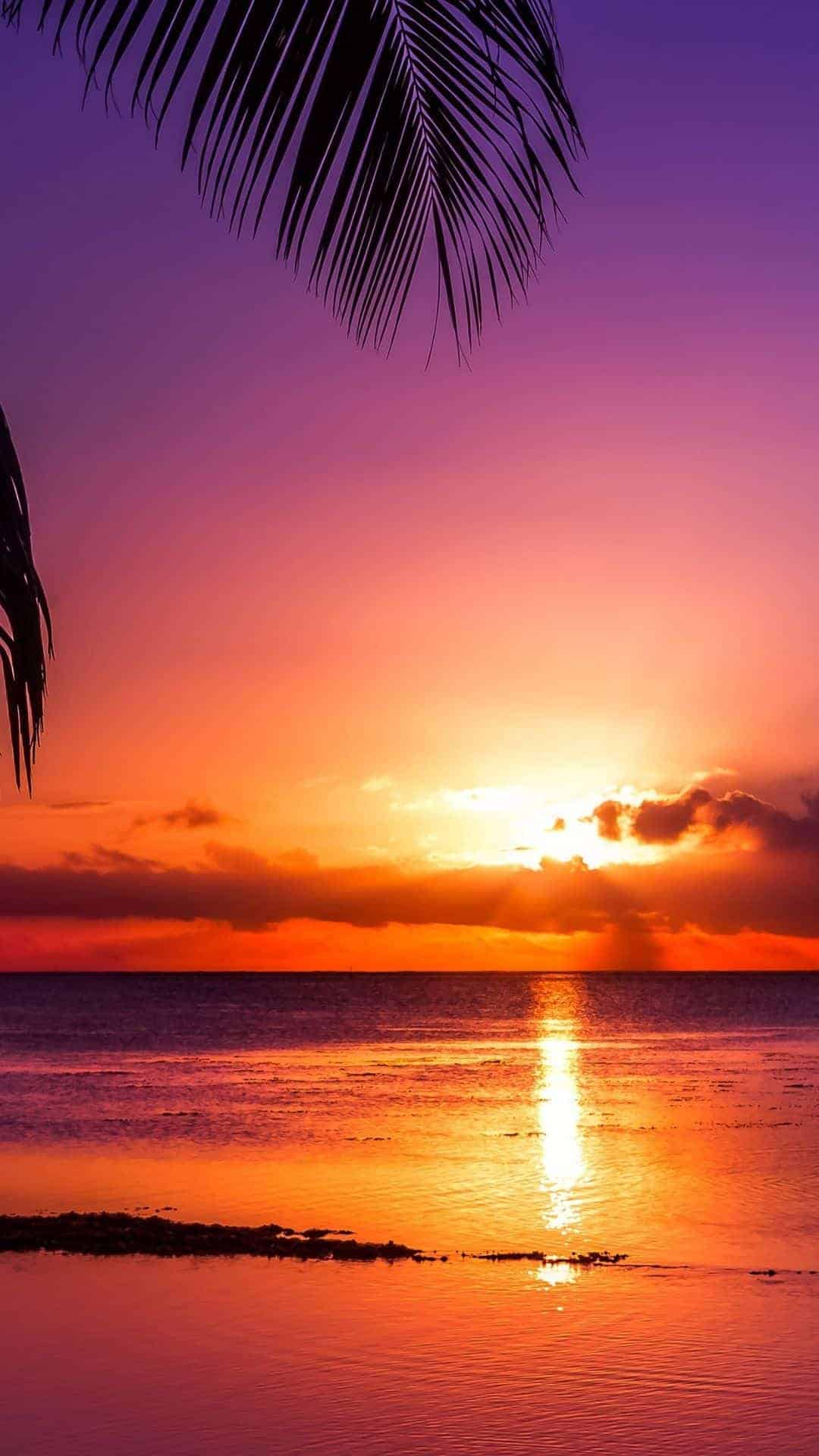 Sunset iphone Wallpaper