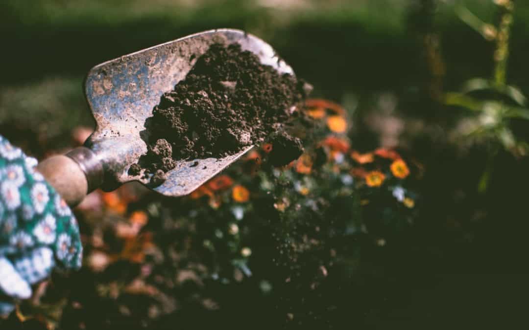 Don’t Treat Your Soil Like Dirt