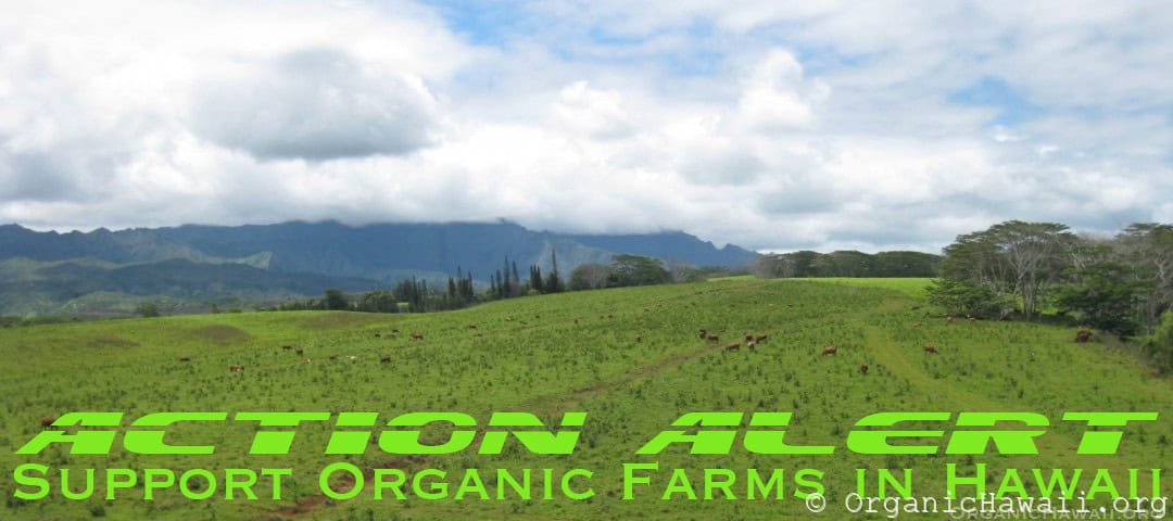 Action Alert Support Organic Hawaii farms