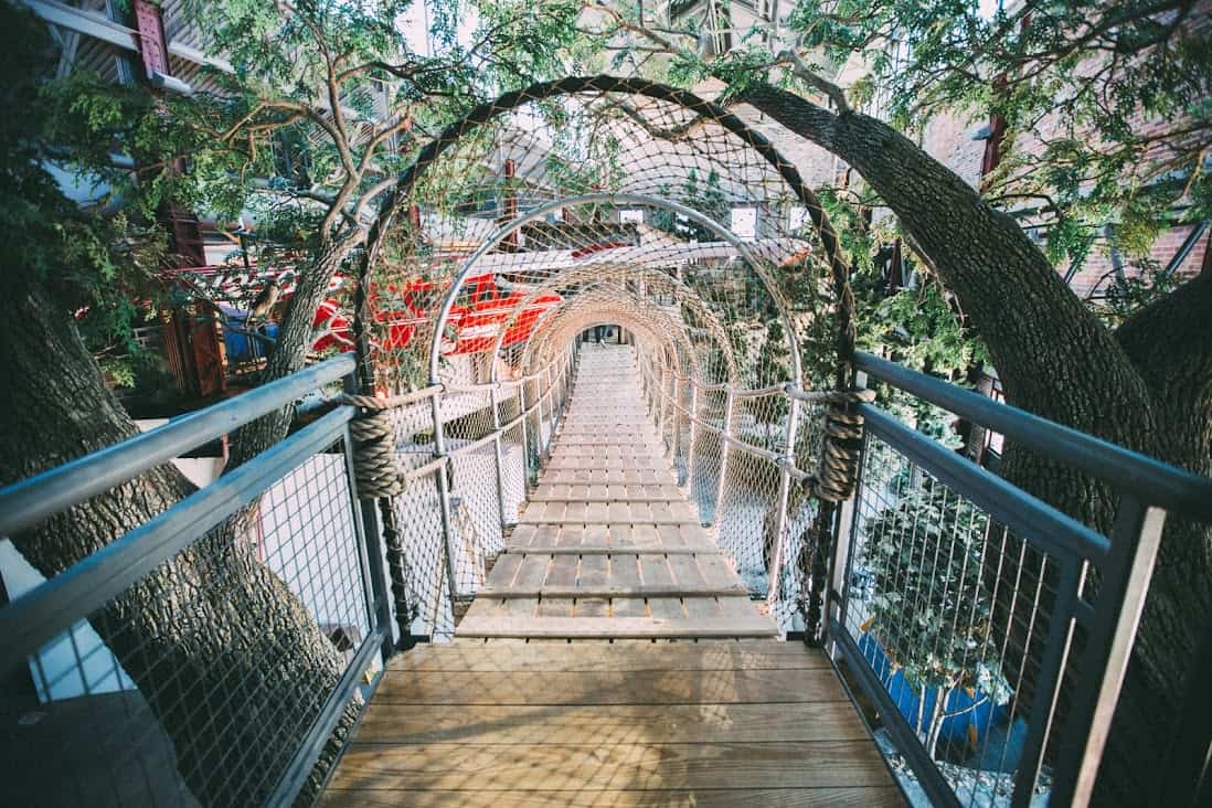 urban access to nature