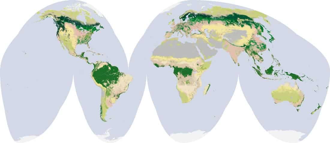 Forests cover 30 percent of the Earth’s land. Map Robert Simmon, based on data from the MODIS Land Cover Group, Boston University via NASA