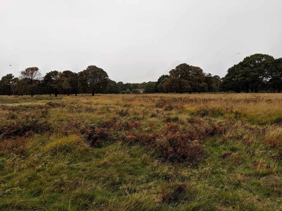 playground Earth | Richmond Park View | London