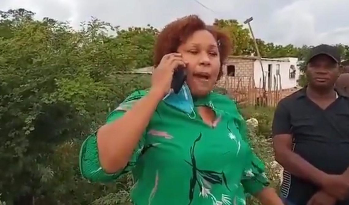 Edirda D Óleo, diputada del PRM