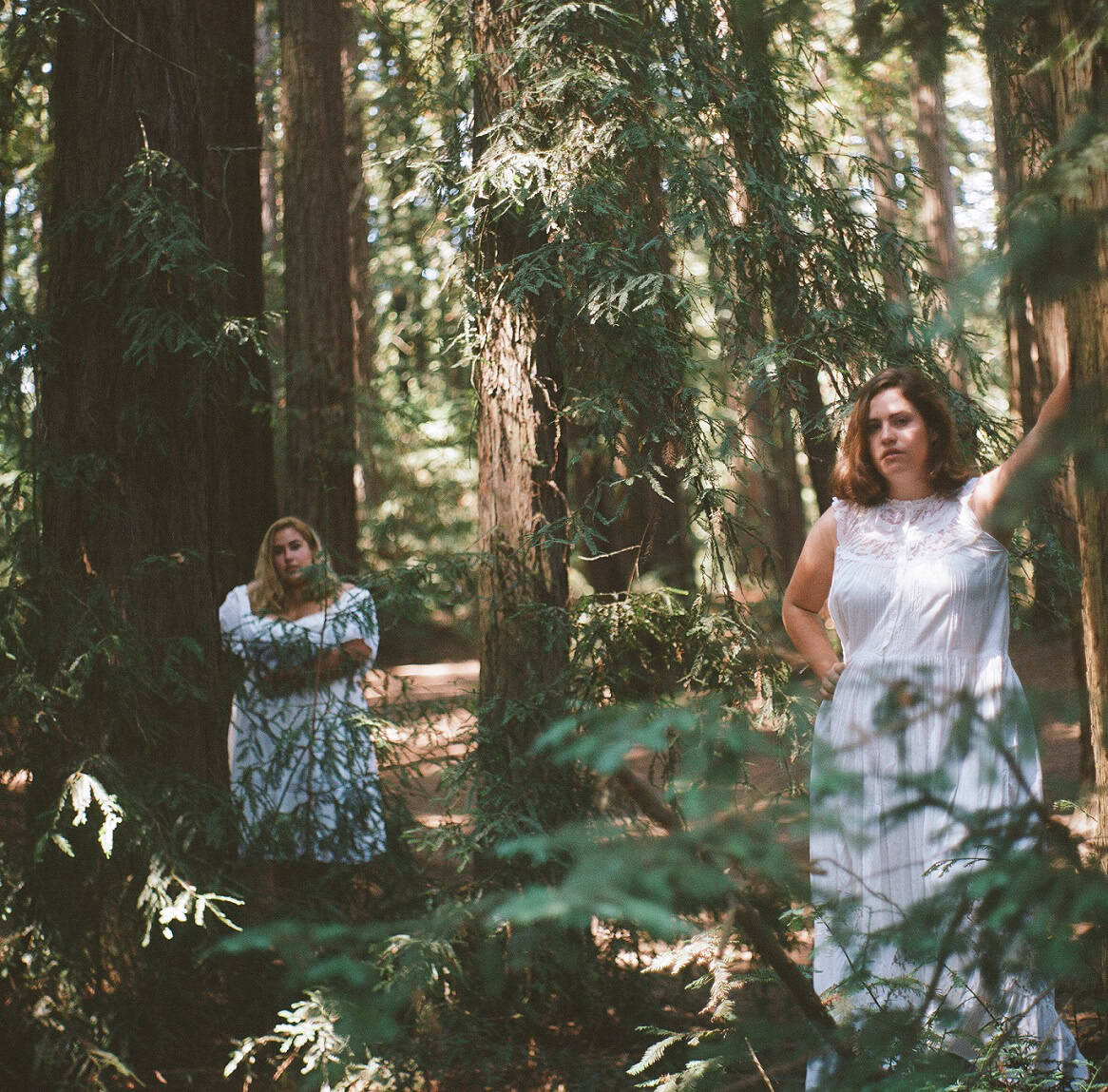 King Willow © Sakara Birdsong