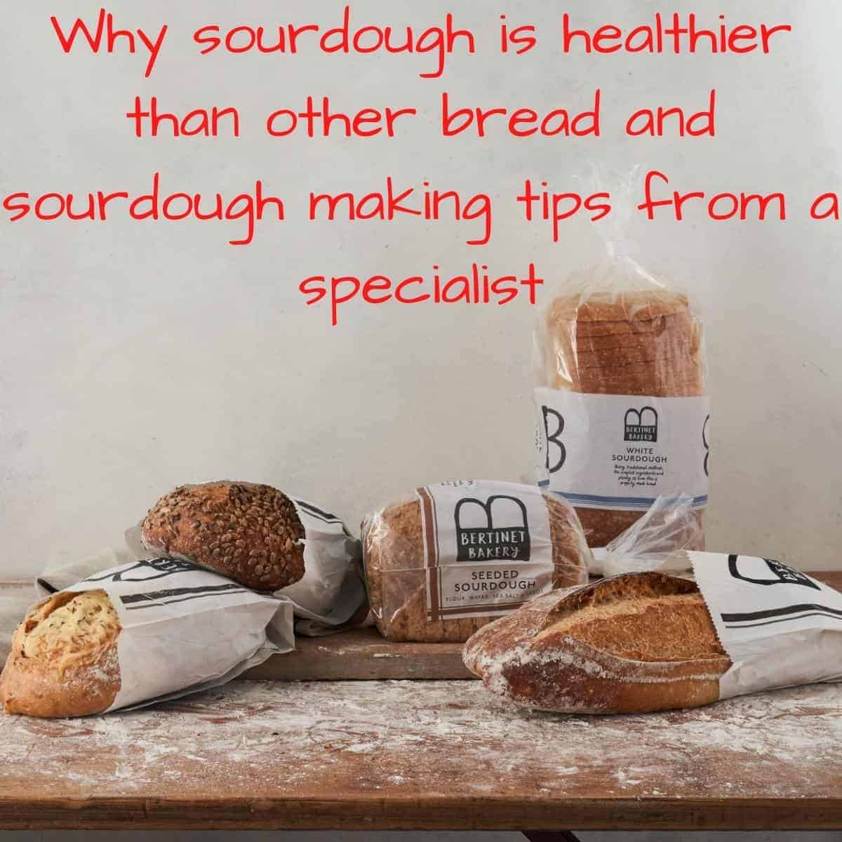 Why Sourdough Is Healthy Sourdough Making Tips Don't waste the crumbs » meal planning » healthy eating basics » sourdough 101: healthy sourdough making tips