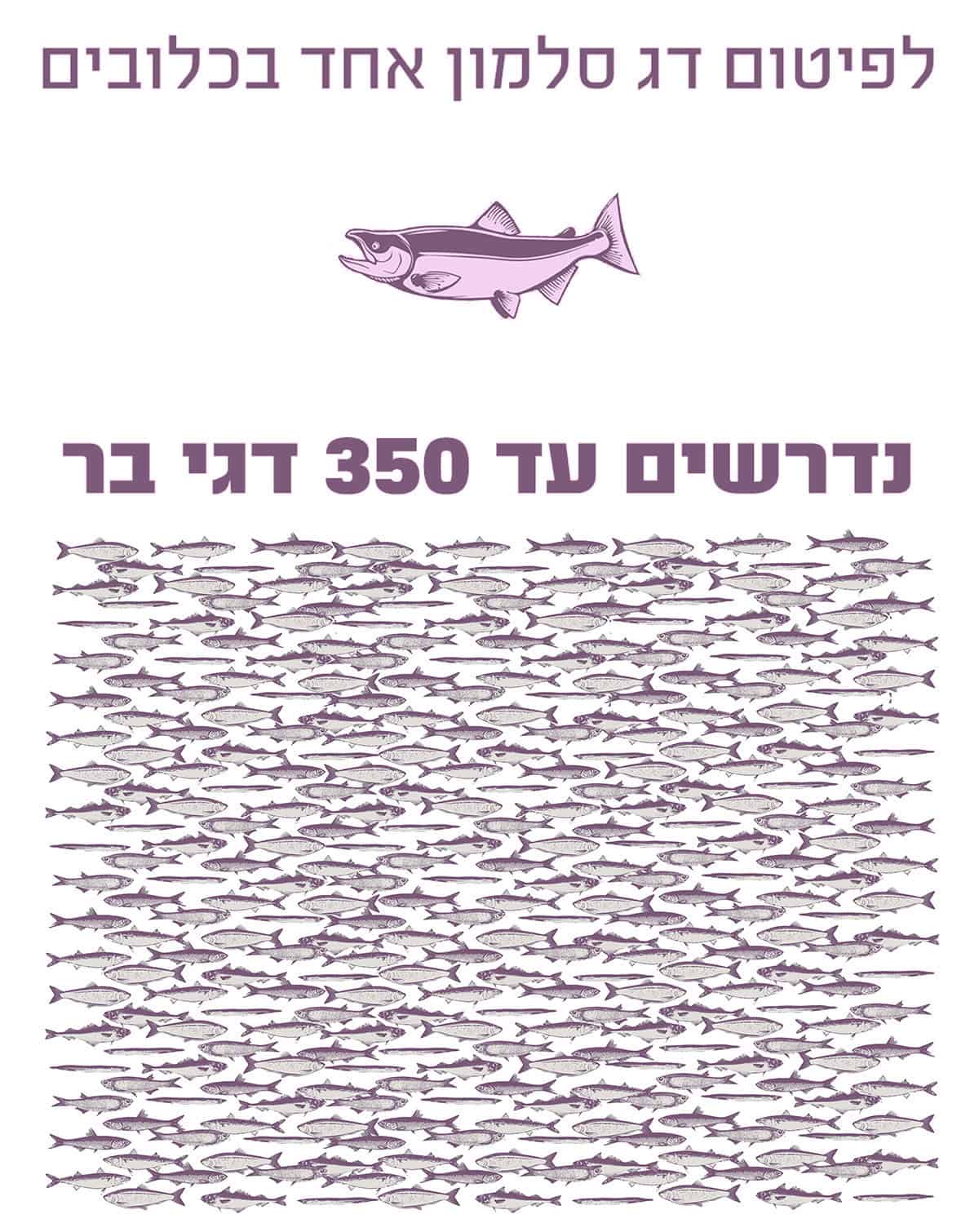 לפיטום סלמון אחד דרושים 350 דגי בר לפיטום סלמון אחד דרושים 350 דגי בר