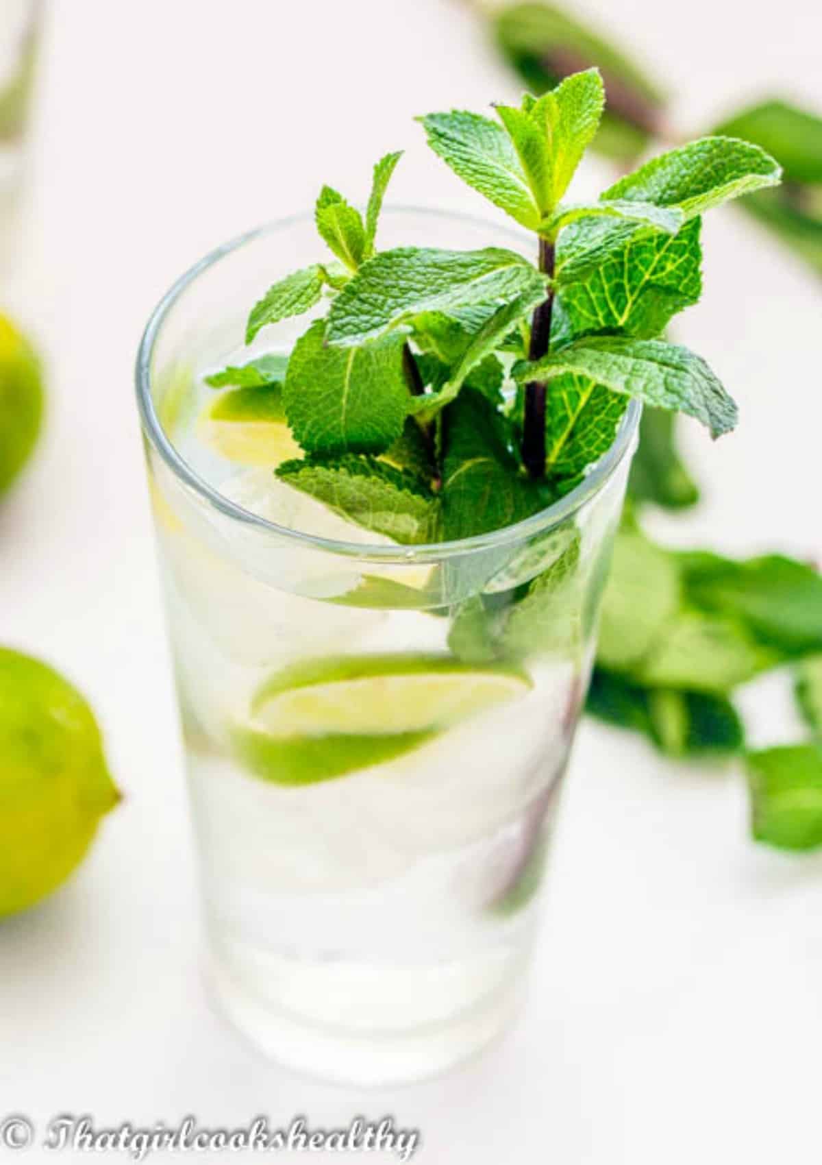 Mint Lime Drink That Girl Cooks Healthy Just make sure to change the mint when you see some leaves. mint lime drink that girl cooks healthy
