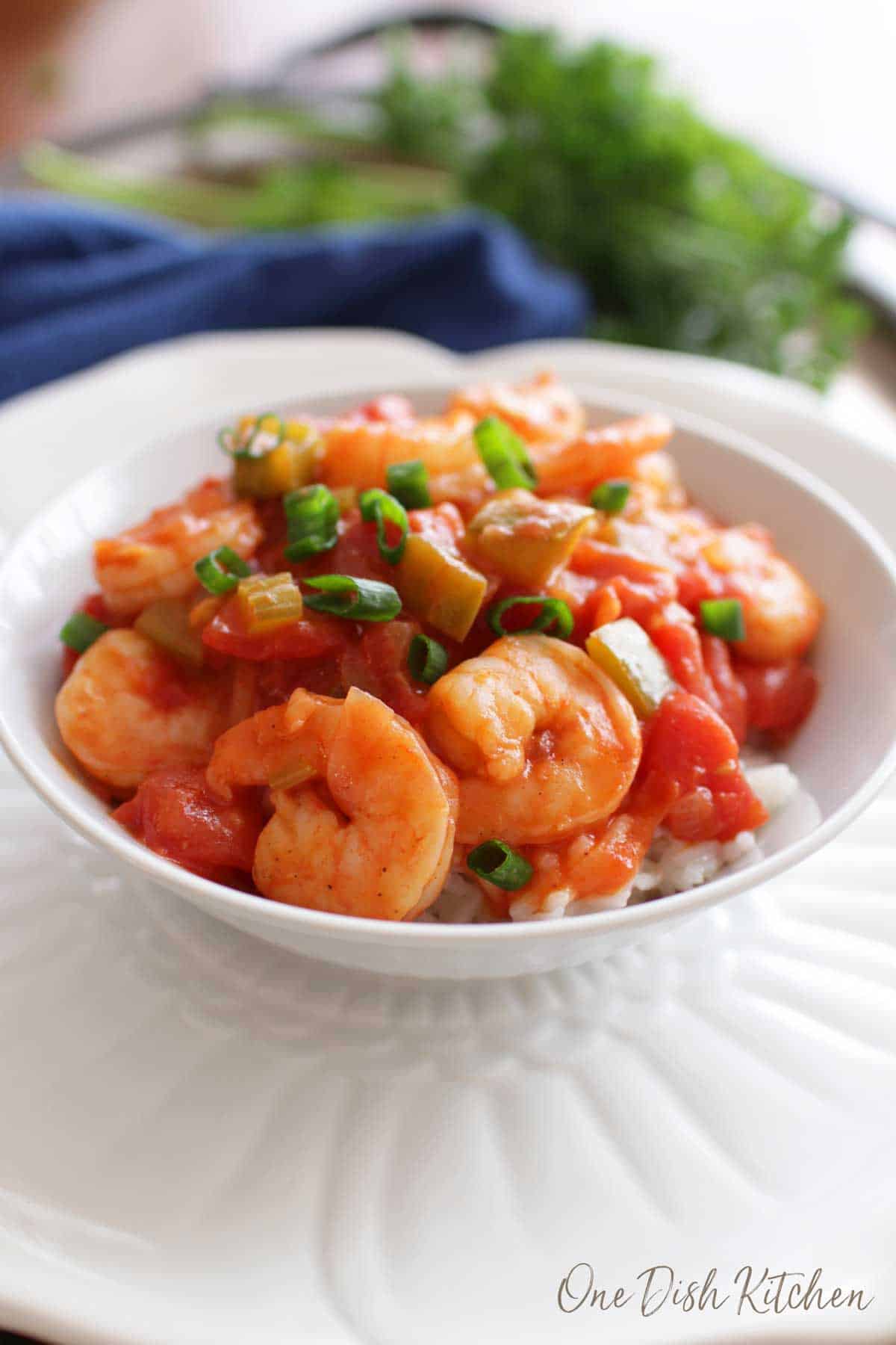A closeup of a bowl of shrimp creole over white rice