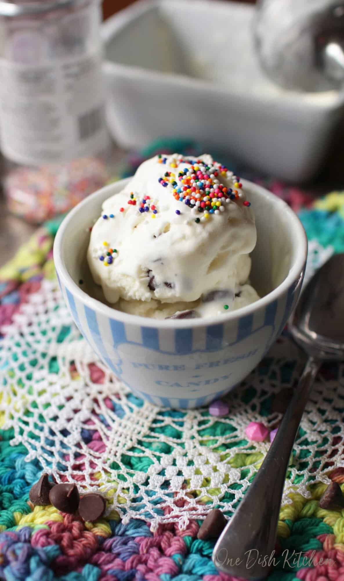 Mint Chocolate Chip Ice Cream Recipe One Dish Kitchen