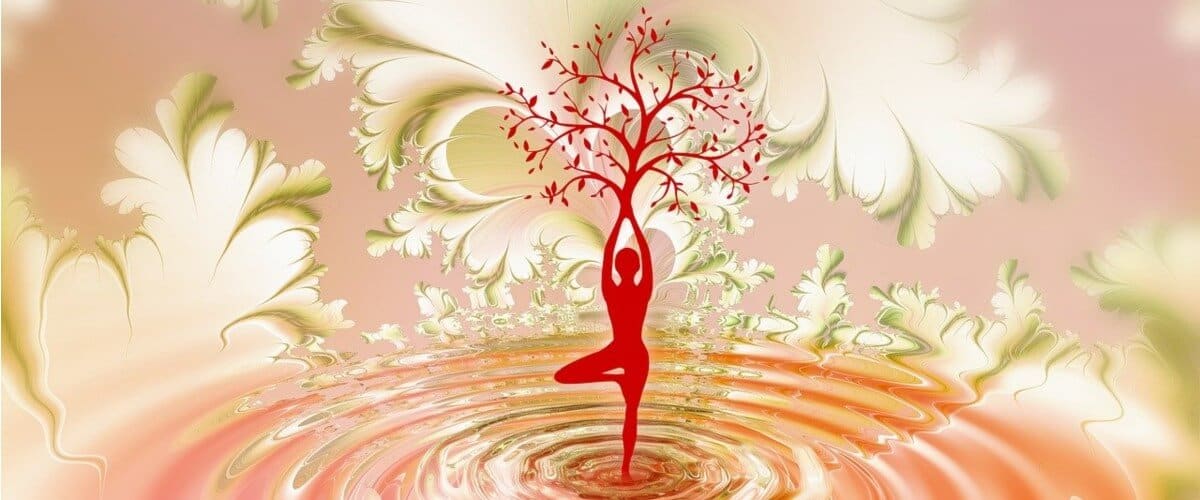 Vida en Danza