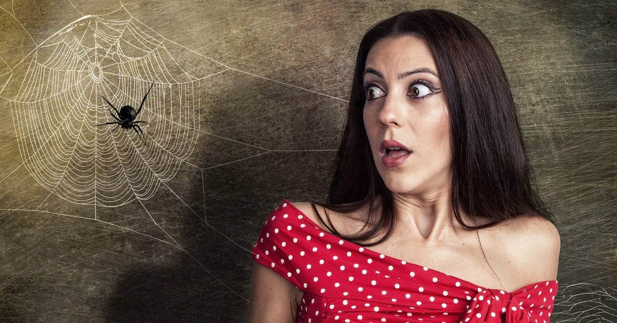 2018-10-14 – Sandlapper – No-Fear-Why-Ghost-Tours-Might-Be-Healthy-for-You Woman startled by spider and cobweb next to her