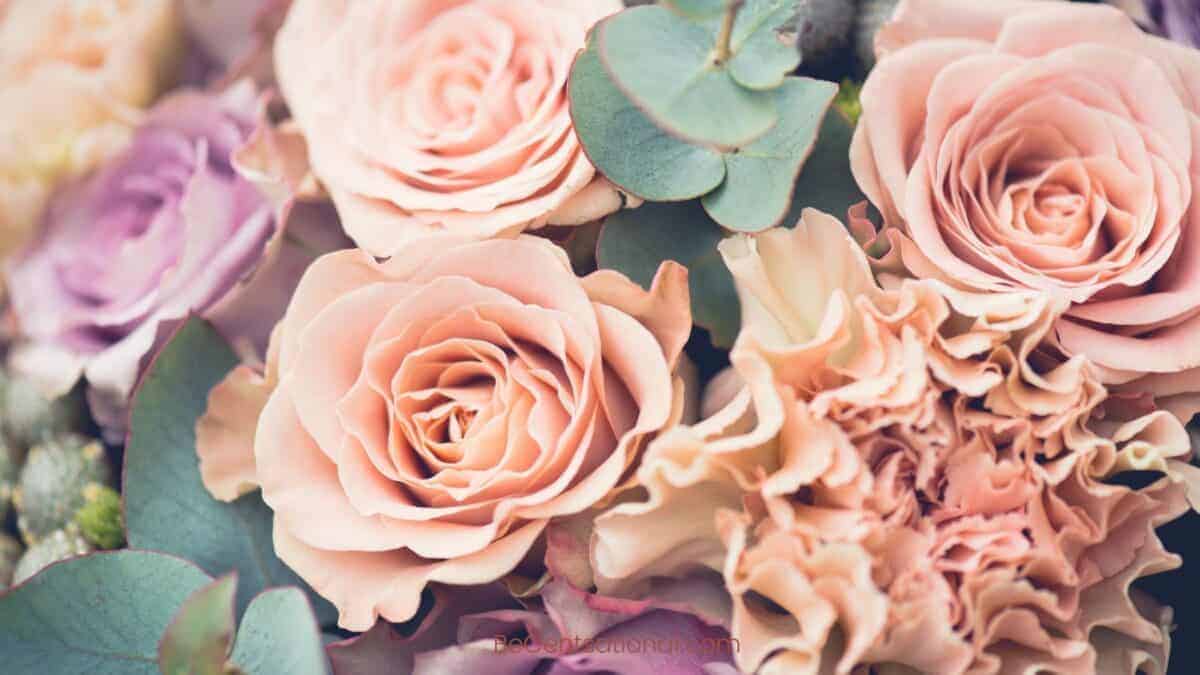 Flower Wallpapers 4k Free Wallpapers & Backgrounds