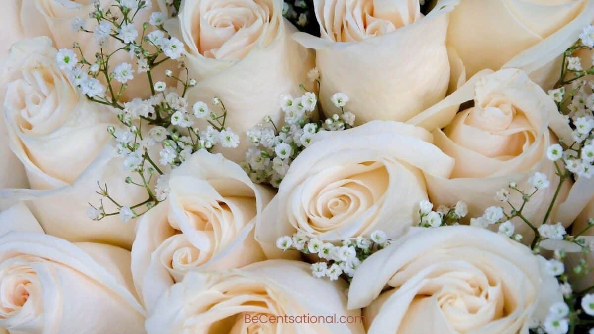 Flower Wallpapers 4k Free Wallpapers & Backgrounds