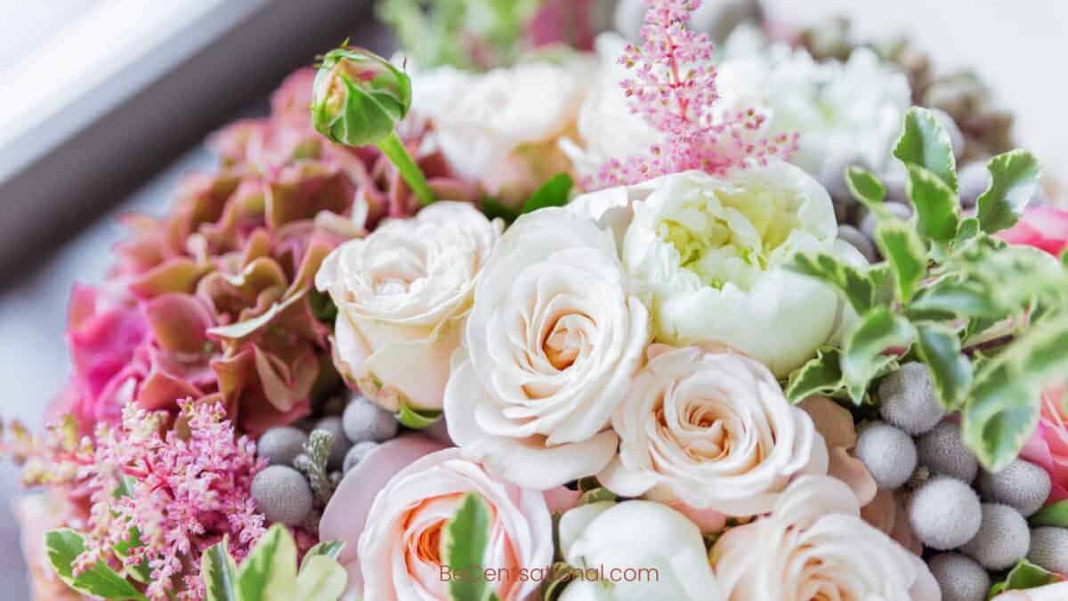 Flower Wallpapers Wallpapers, flower Backgrounds for desktop