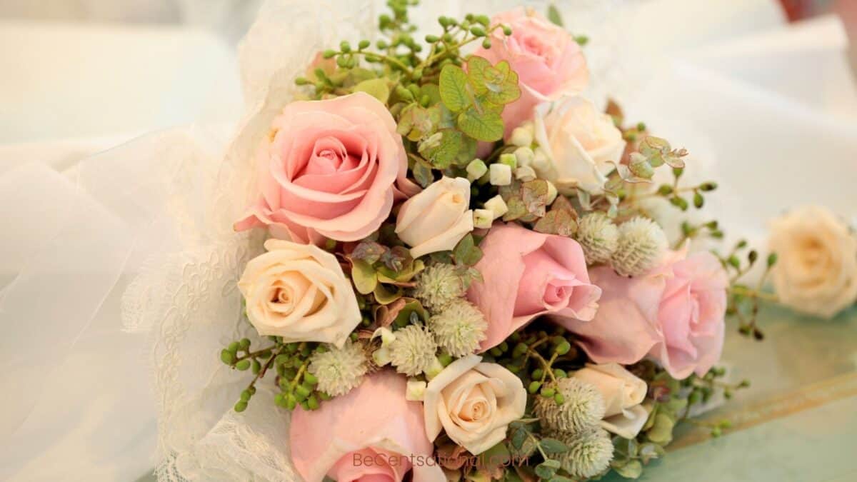pink and peach Flower Wallpapers Wallpapers, flower Backgrounds for desktop