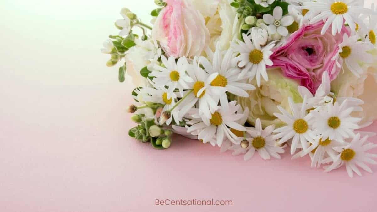 roses and daisy Flower Wallpapers Wallpapers, flower Backgrounds for desktop