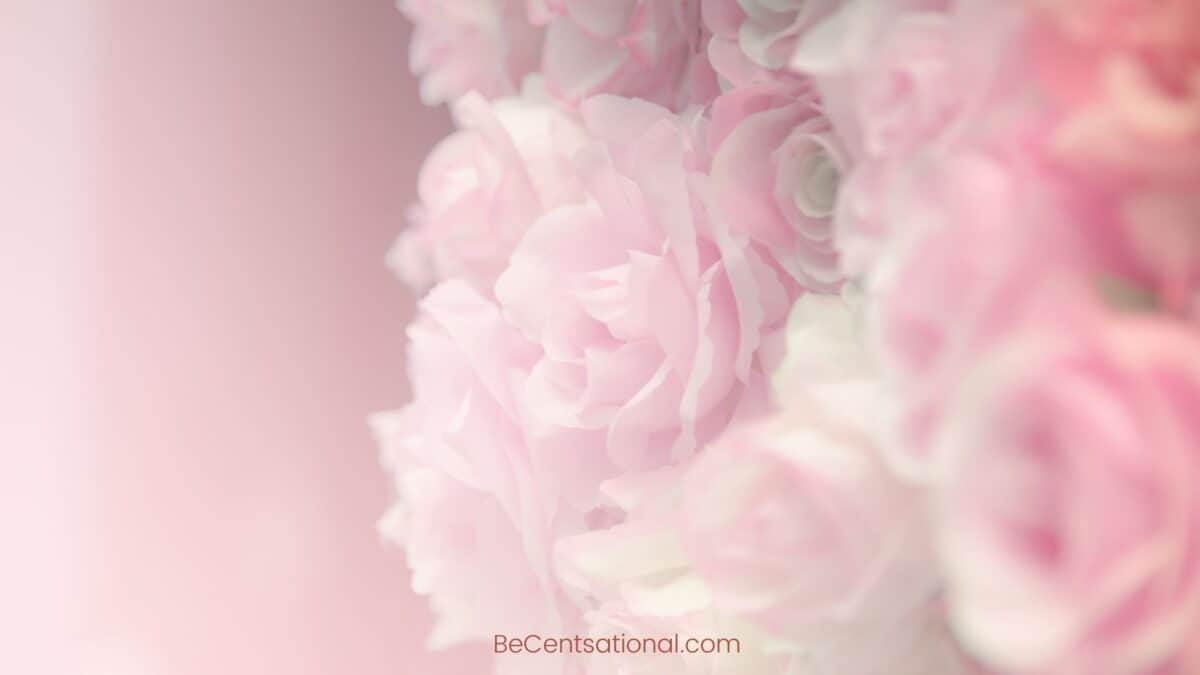Flower Wallpapers 4k Free Wallpapers & Backgrounds