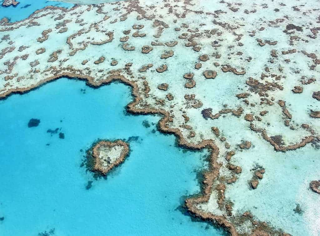 Heart Reef, part of the Great Barrier Reef near Airlie Beach, Whitsunday Islands, Queensland. Photo: Ayanadak123, Mediawiki, CC BY-SA 4.0
