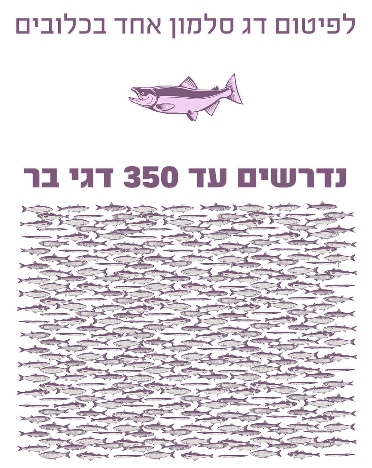 לפיטום סלמון אחד דרושים 350 דגי בר לפיטום סלמון אחד דרושים 350 דגי בר