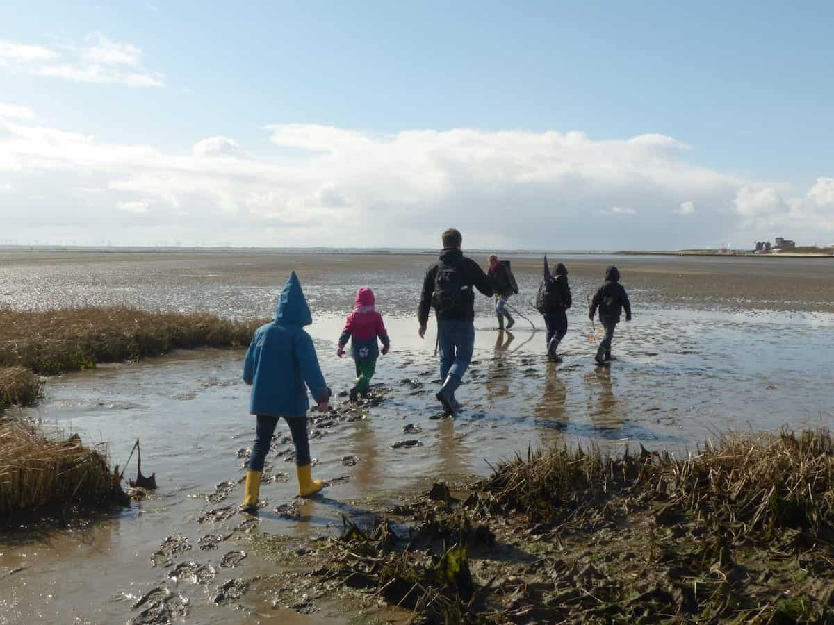 Wattwanderung mit Kindern - Norderney