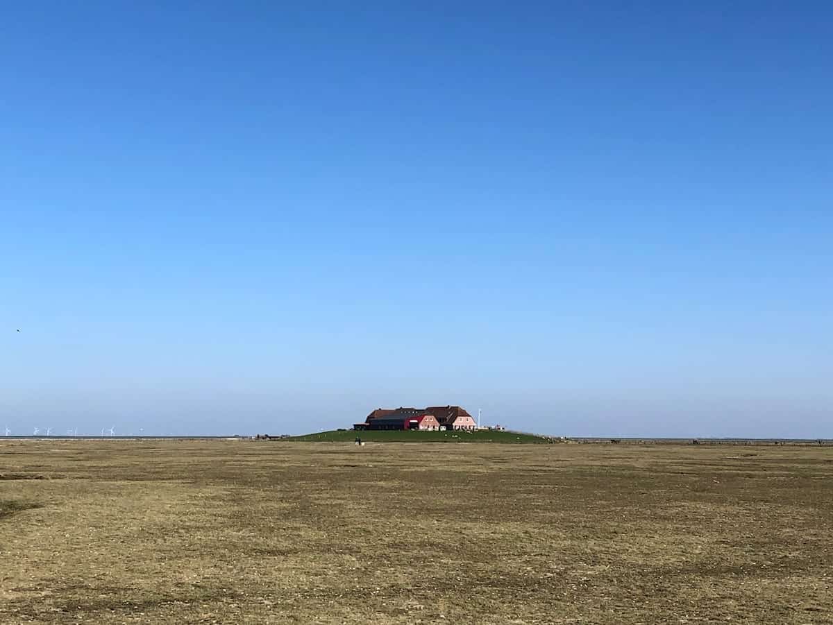 Familienurlaub an Nordsee und Ostsee mit der Bahn - Hallig